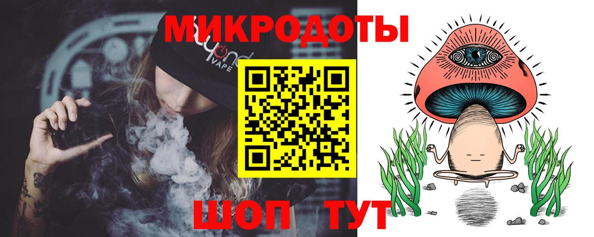Галлюциногенные грибы Psilocybe Ревда