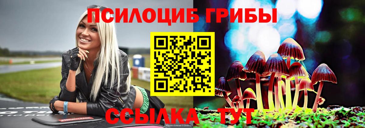 Псилоцибиновые грибы мухоморы  Вход с VPN  Ревда 